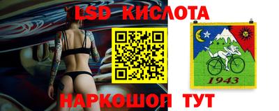 шишки Гагарин