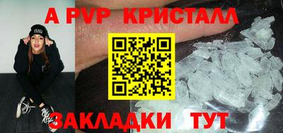 шишки Гагарин