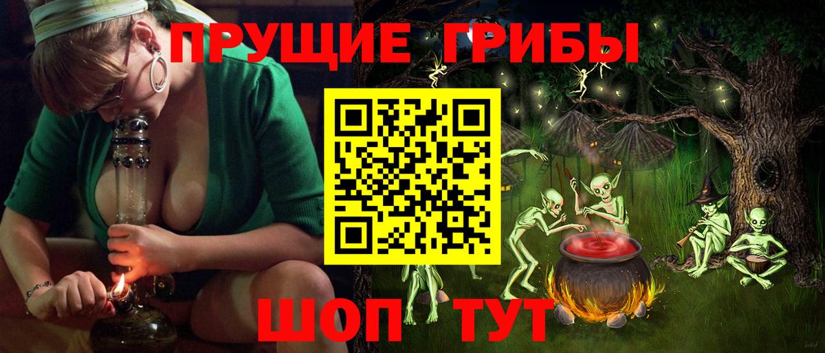 Псилоцибиновые грибы Cubensis  Вход с VPN  Чайковский  Псилоцибиновые грибы мицелий 
